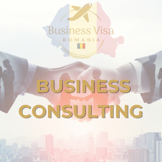Business Consulting